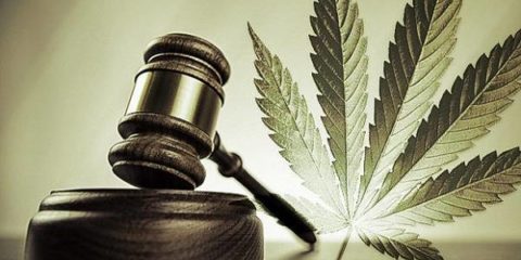 Cannabis legality