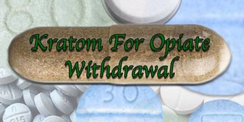 Opiate Withdrawal